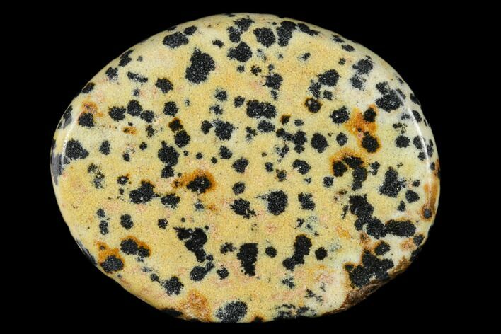 1.8" Polished Dalmatian Jasper Flat Pocket Stone  - Photo 1